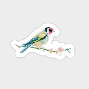 European goldfinch Sticker